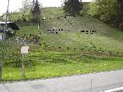 Blick nach Sden auf das Grundstck